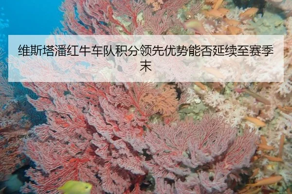 维斯塔潘红牛车队积分领先优势能否延续至赛季末